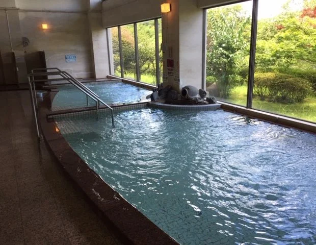 あいハウジングアリーナ松元(旧 平野岡健康づくり公園)