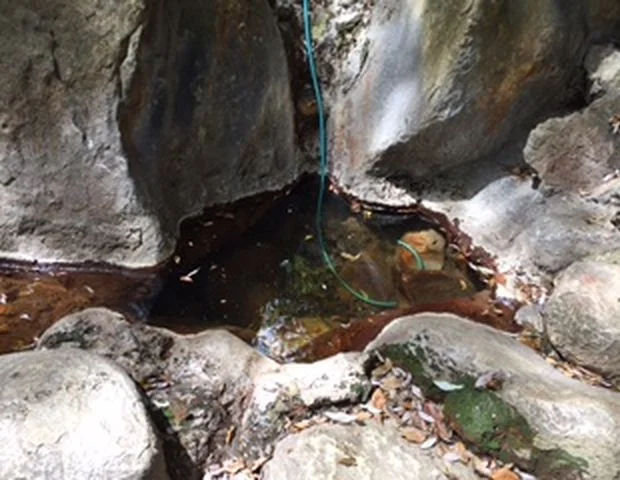 目の湯