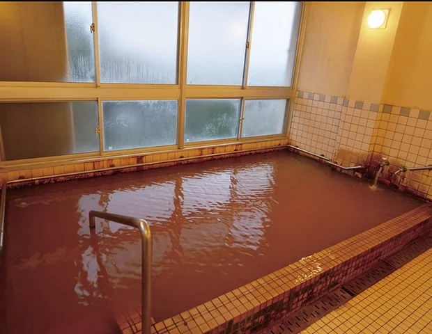 宝島友の花温泉保養センター - 鹿児島県