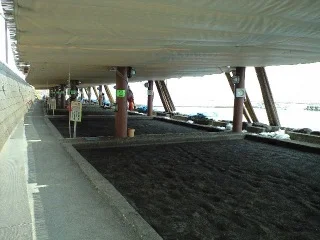 砂むし会館「砂楽」