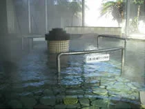 ねじめ温泉 ネッピー館