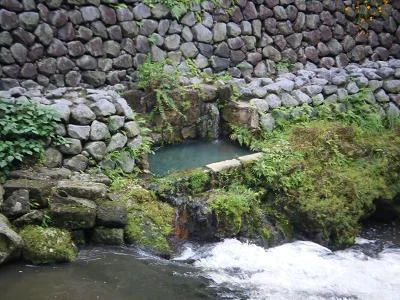 塩浸温泉龍馬公園（旧　塩浸温泉 ふくしの里）