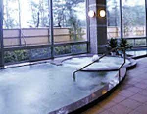 コスモピア内之浦 かなえの湯