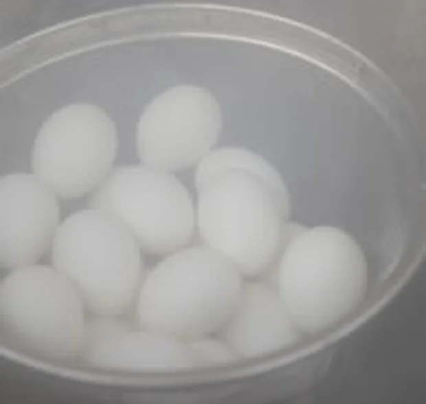 前田温泉 カジロが湯