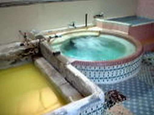 Ume no Yu - Kagoshima