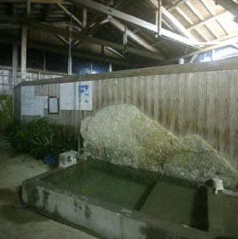 Ryokan Yakushima - Kagoshima