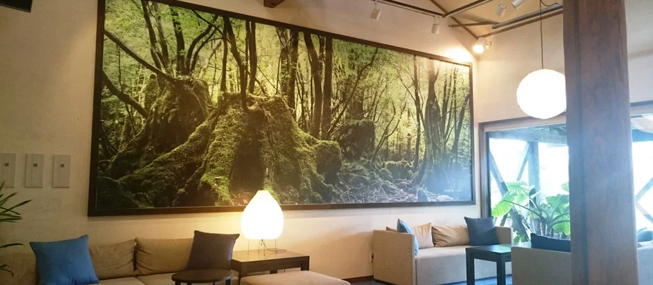 トップメイン画像4