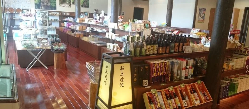 トップメイン画像5