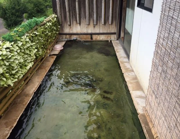 早水荘