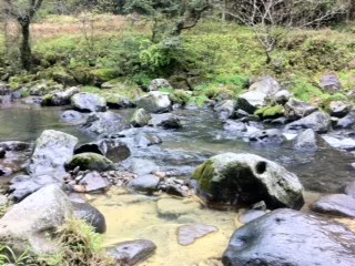 和気湯