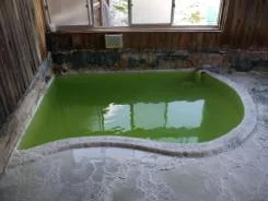 国見温泉石塚旅館