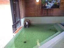 紫尾湯の宿 くすのき