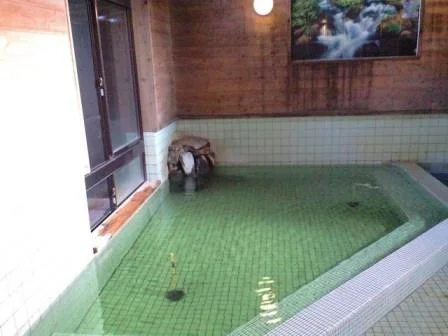 紫尾湯の宿 くすのき