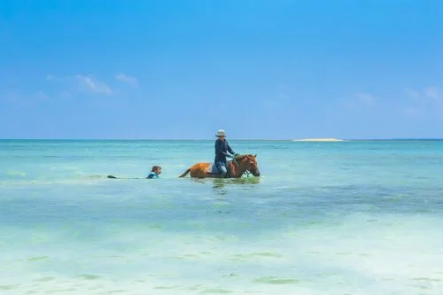 フォトアルバム19