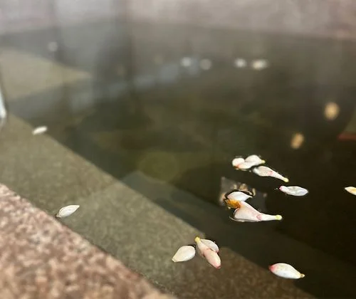 フォトアルバム4