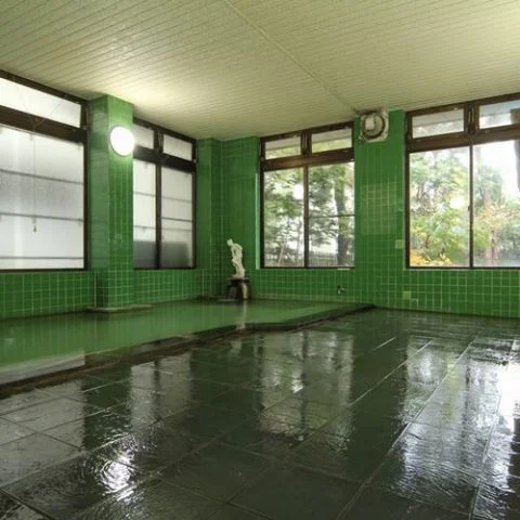 Yumoto Onsen Village Inn Ichijou - Iwate