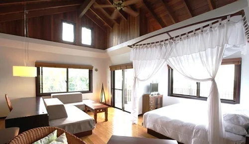 トップメイン画像7