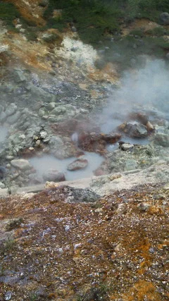 新安比温泉 静流閣