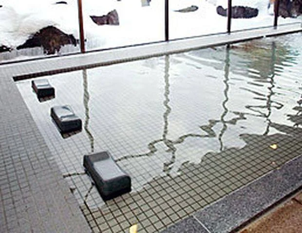 瀬峯坂温泉 宝珠の湯（閉館しました）