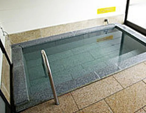 瀬峯坂温泉 宝珠の湯（閉館しました）