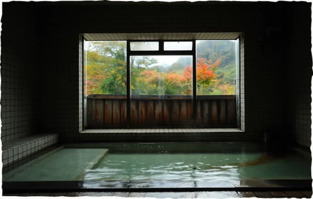 瀬美温泉(せみおんせん)