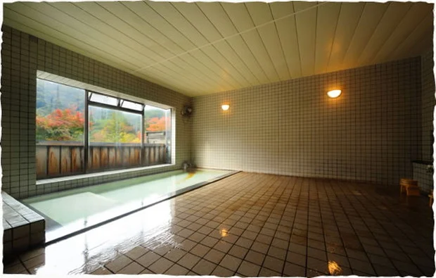 瀬美温泉(せみおんせん)