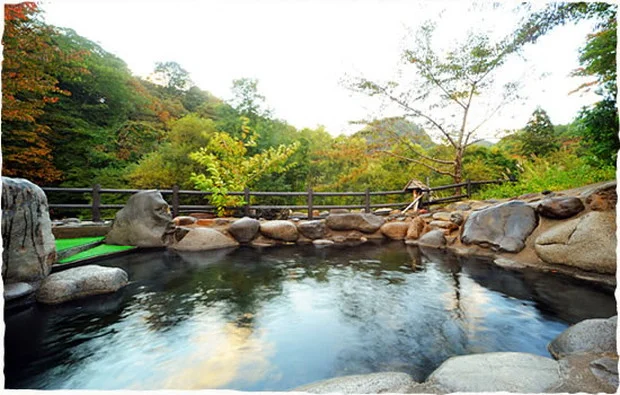 瀬美温泉(せみおんせん)