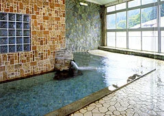 湯川温泉　新清館