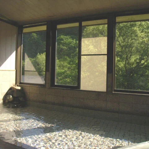 湯川温泉　出会いの花宿　大盛館　栖峰 - 岩手県