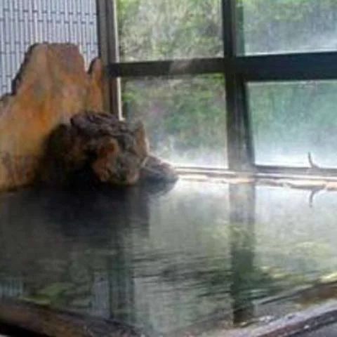 Yukawa Onsen Seseragi no Yado Yoshinoya - Iwate