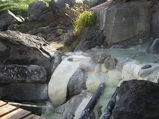 須川高原温泉（すかわこうげんおんせん）