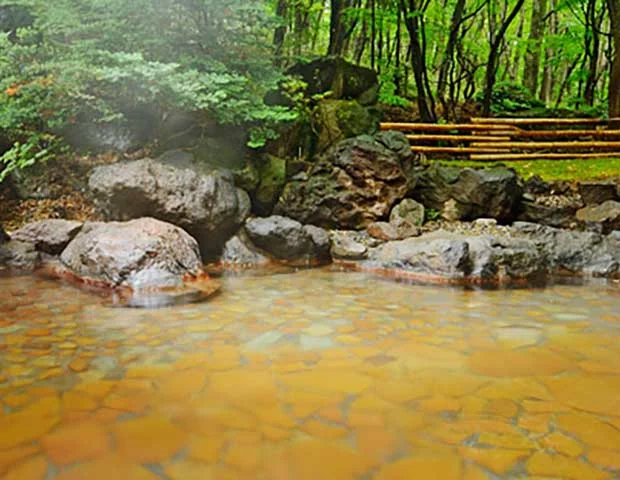 アクティブリゾーツ岩手八幡平（閉館しました）