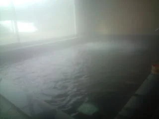 水神温泉 山照園(閉館しました)