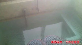 巣郷温泉 でめ金食堂(閉館しました)
