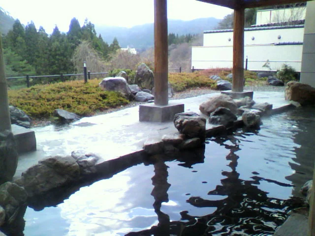 渡り温泉　ホテルさつき（閉館しました）