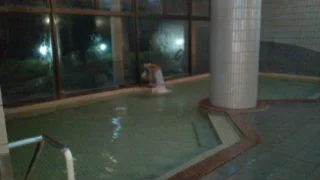 渡り温泉　ホテルさつき（閉館しました）