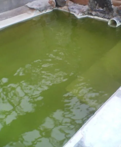 国見温泉　森山荘