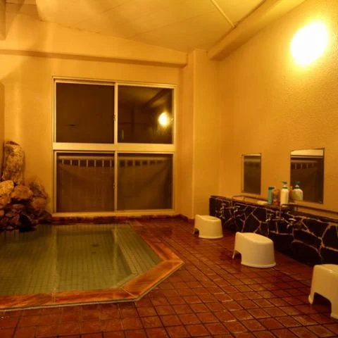 湯川温泉　萬鷹旅館 - 岩手県