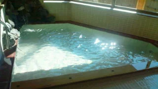 新山根温泉べっぴんの湯