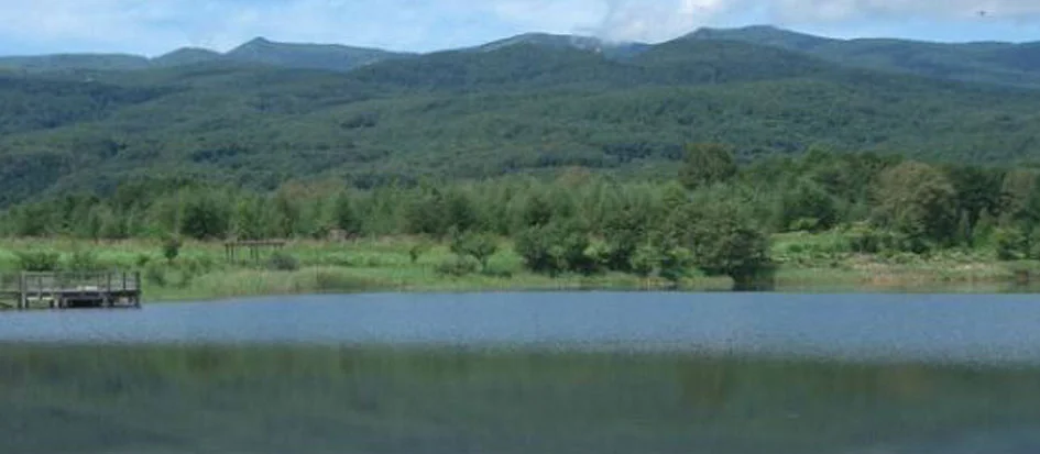 トップメイン画像1