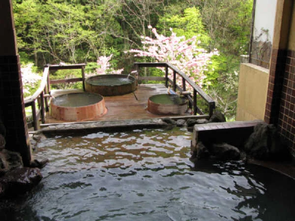 稲住温泉