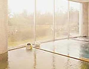 夕陽温泉・WAO(閉館しました)