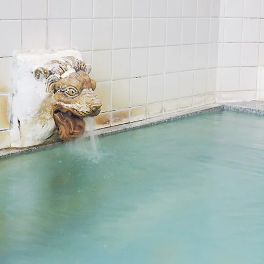 Furusawa Onsen Koyo-kan - Odate - Akita