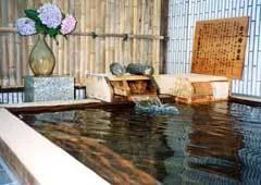 Tatsumi Kanyo Hotel - Zao, Nikaho - Akita