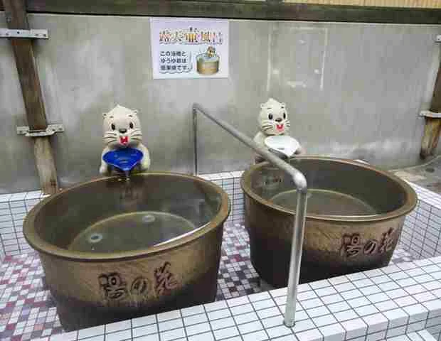 小樽天然温泉湯の花 手宮殿