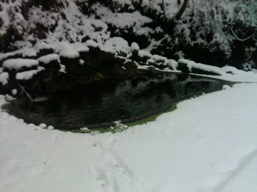 杣温泉 杣温泉旅館(閉館しました)