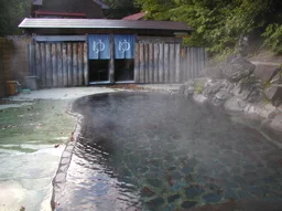 杣温泉 杣温泉旅館(閉館しました)