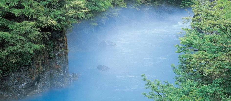 トップメイン画像3