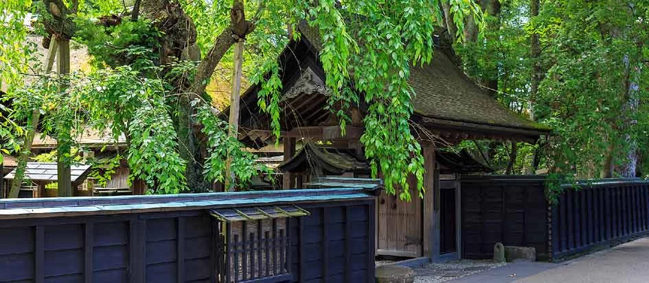 トップメイン画像4