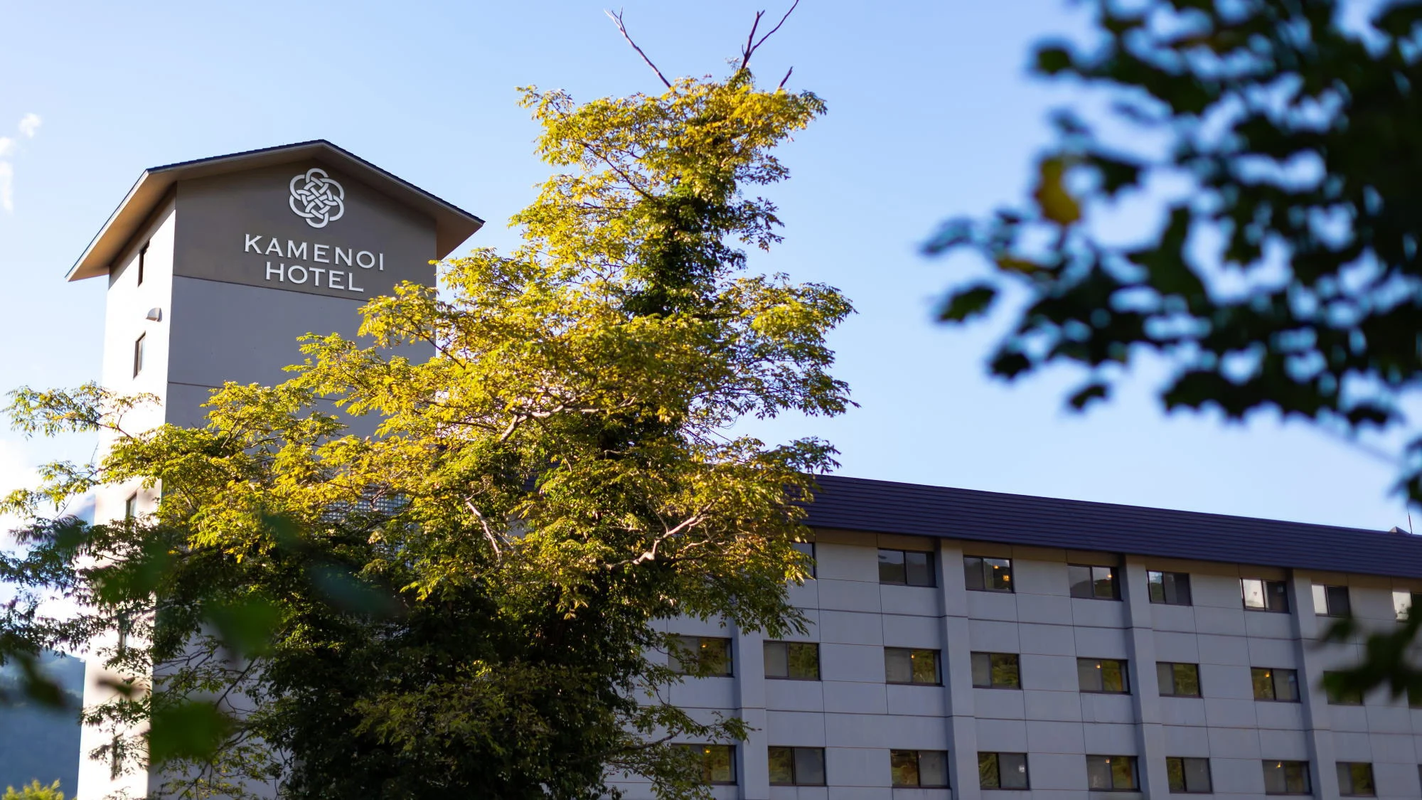 トップメイン画像6